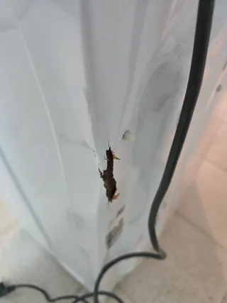 Lavadora Candy 7kg 1200 RPM