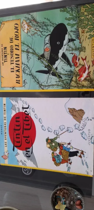 Edicionrs tintin de Hergé de juventud de Barcelona