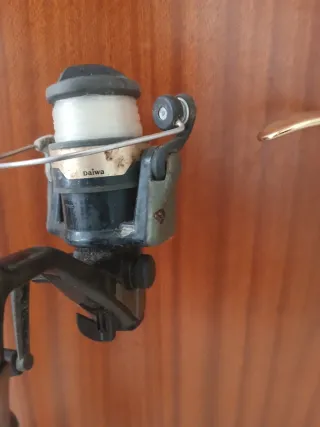 Caña de pesca Shimano con carrete