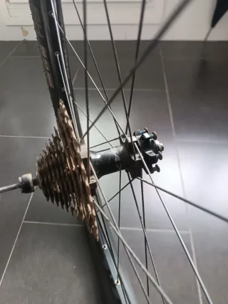 Ruedas Easton EA70 XCT