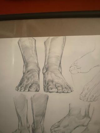 Disegno anatomico vintage piedi