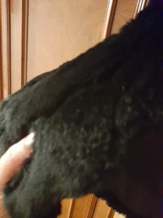 Chaqueta pelo sintético negra