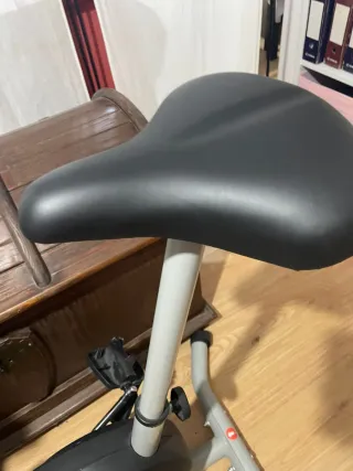 Bicicleta Estática Weslo Pursuit Upright