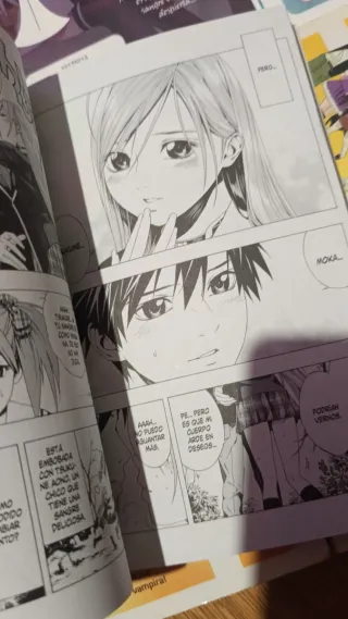 Rosario to Vampire II nº 01/14