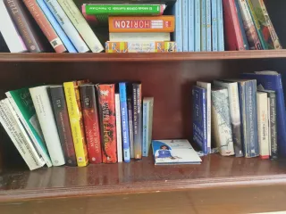 Lote de libros variados en buen estado.