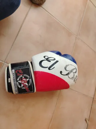 Guantes de Boxeo 14 oz El Bron
