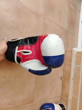 Guantes de Boxeo 14 oz El Bron