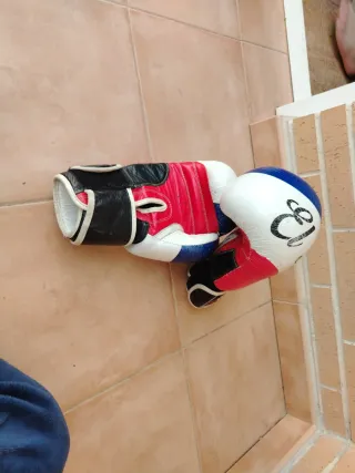 Guantes de Boxeo 14 oz El Bron