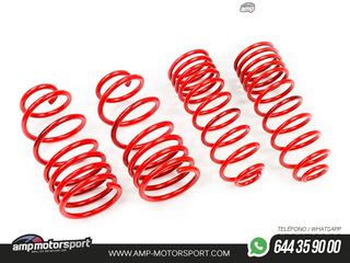 MUELLES DEPORTIVOS MTS TECHNIK MTSXAL069