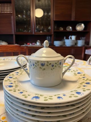 Serviço de loiça Fine Porcelain 6 pessoas