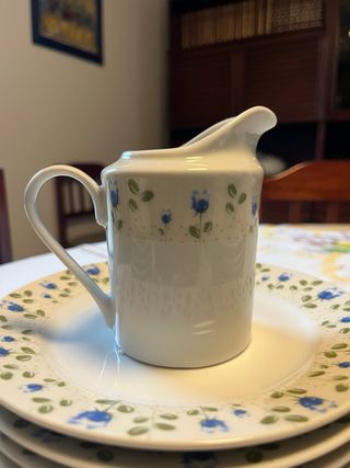 Serviço de loiça Fine Porcelain 6 pessoas