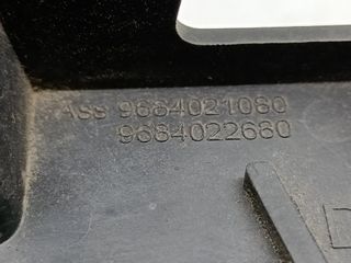 MOLDURA PEUGEOT 3008 (17)