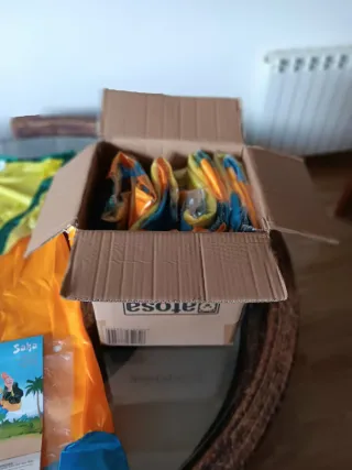 Lote 6 Disfraces Rumbero Salsa. Talla M-L