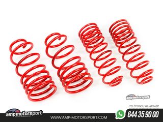 MUELLES DEPORTIVOS MTS TECHNIK MTSXOP011