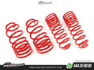 MUELLES DEPORTIVOS MTS TECHNIK MTSXBM163