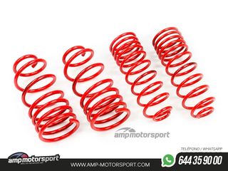 MUELLES DEPORTIVOS MTS TECHNIK MTSXHY044