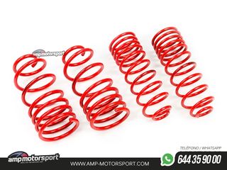 MUELLES DEPORTIVOS MTS TECHNIK MTSXVO005