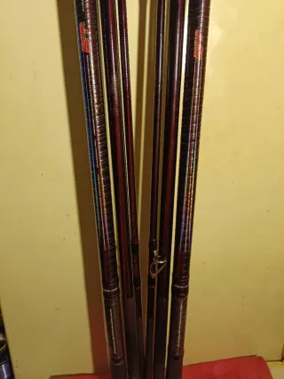 Cañas de surfcasting gama alta