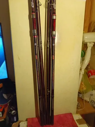 Cañas de surfcasting gama alta