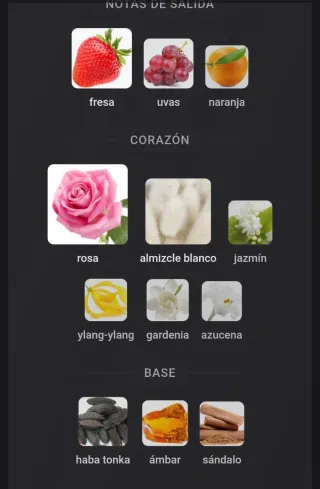 Ameerat Al Arab Prive Rose Asdaaf