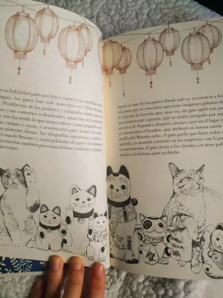 Historia de un gato: El nuevo libro de Laura Ag...