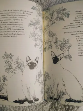Historia de un gato: El nuevo libro de Laura Ag...