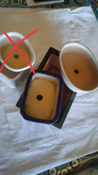 Vasi bonsai ceramica terracotta