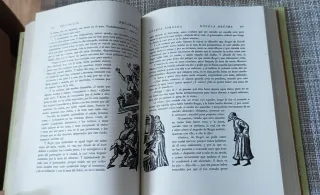 Decamerón (Clásicos Nauta)