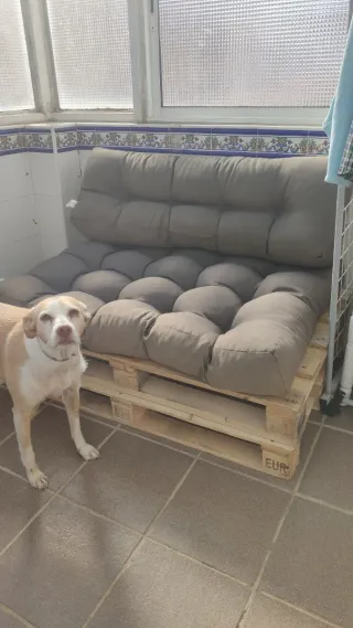 Cojines para sofá de palets