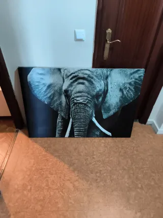 Cuadro de elefante en blanco y negro