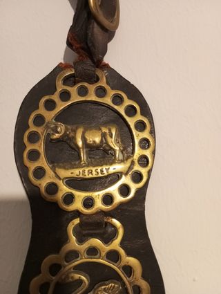 Arnés de caballo con adornos de latón