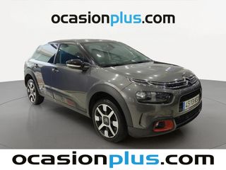 Citroen C4 Cactus BlueHDi 100 Shine 73 kW (100 CV)