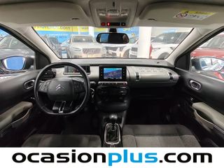 Citroen C4 Cactus BlueHDi 100 Shine 73 kW (100 CV)