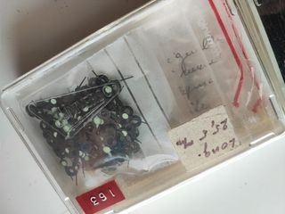 lote de punteros para relojes de sobremesa