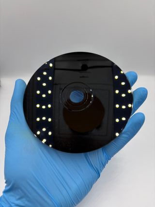 THE DUKES OF HAZZARD RACING FOR HOME PLAYSTATION 1