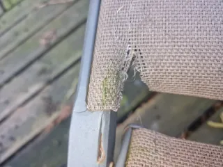 2 Tumbonas de tela y metal color gris