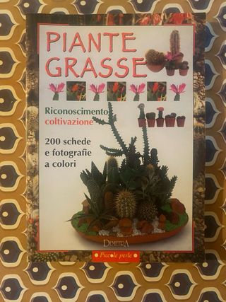 Piante grasse