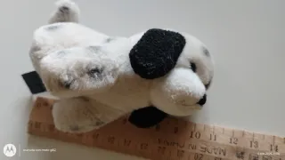 Peluche assortiti: cane, bradipo, lucertola, bisco