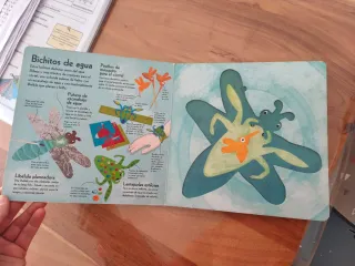 Libro para hacer manualidades BiChOS