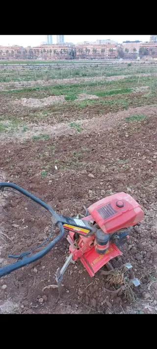 Motoazada motocultor mula mecánica Mollón 5cv