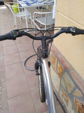 Bicicleta de montaña BDS plateada