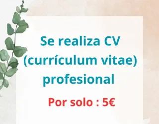 Currículum vitae