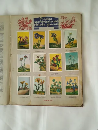 Libro de cromos LAS MARAVILLAS DEL MUNDO 1932