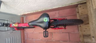 Bicicleta Infantil Frog 48 Roja