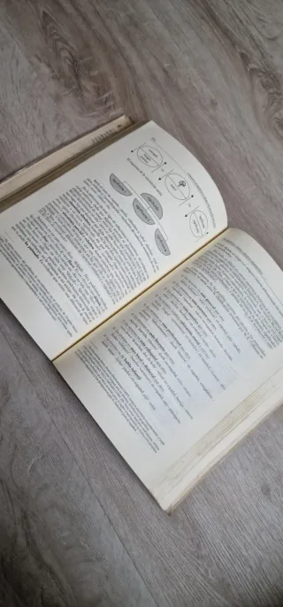 Lengua española (para filología inglesa) (CUADE...