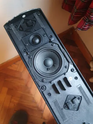 Lote premium Bang & Olufsen: BeoLab7.2+Beo4+Cables