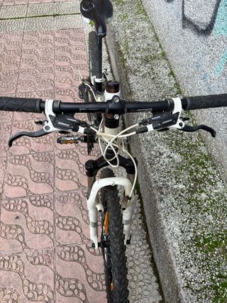 Bicicleta Haibike Infantil Frenos Disco