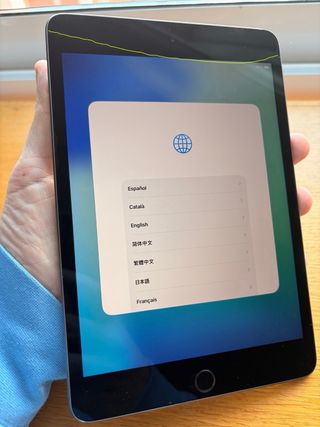 iPad Mini 5 Wifi 64GB Gris Espacial