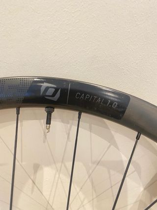 Ruedas Syncros Capital 1.0