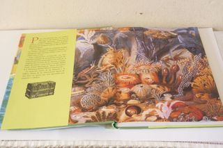 CUENTOS DEL MAR: RELATOS, POEMAS Y CANCIONES DEL M